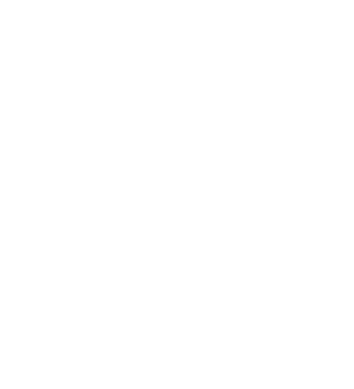 mingcute_safety-certificate-fill